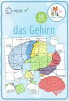 Vorschau - Spiele - Das Gehirn – Puzzle - Deckblatt