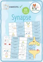 Vorschau - Spiele - Synapsen - Domino Spiel (Abitur) - Deckblatt