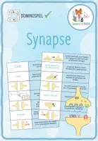 Vorschau - Spiele - Synapse - Domino Spiel - Deckblatt