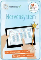 Vorschau - Spiele - Nervensystem – digitales Domino Spiel für Computer & iPad - Deckblatt