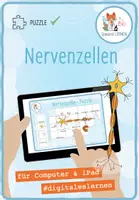Vorschau - Spiele - Nervensystem - 7x digitale Spiele und Aktivitäten für Computer & iPad - Seite 1