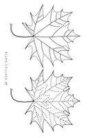 Vorschau - Arbeitsblätter - Schwungübungen/Bilder zum Nachfahren: Herbstblätter - Seite 2