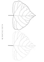 Vorschau - Arbeitsblätter - Schwungübungen/Bilder zum Nachfahren: Herbstblätter - Seite 3