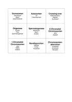 Vorschau - Spiele - Sag's nicht! - Spiel zu Fachbegriffen der Humangenetik - Seite 2