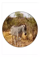 Vorschau - Mal- und Bastelvorlagen - Girlande für den Schulanfang Zebraklasse - Seite 2