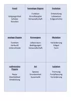 Vorschau - Spiele - Ratespiel Evolution Biologie E 11 - Deckblatt