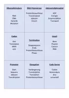 Vorschau - Spiele - Ratespiel Stoffwechsel Q1 OS Biologie - Seite 2