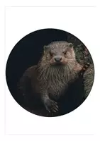 Vorschau - Mal- und Bastelvorlagen - Girlande Schulanfang Otterklasse - Seite 2