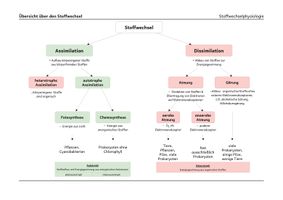 Übersicht Stoffwechsel – Unterrichtsmaterial im Fach Biologie