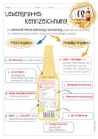Lebensmittelkennzeichnung – Unterrichtsmaterial im Fach Hauswirtschaft