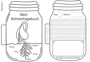 Die Bohne - Bohnentagebuch eine Bastelvorlage um das Wachstum zu Dokumentieren ...