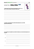 DNA/RNA – Unterrichtsmaterial im Fach Biologie