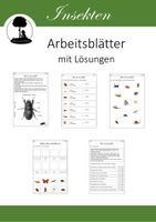 Insekten Arbeitsbl tter Mit Fotos Und L sungen Unterrichtsmaterial insekten-arbeitsbl-tter-mit-fotos-und-l-sungen-unterrichtsmaterial