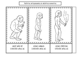 Evolución de los primeros seres humanos - material de la siguiente  asignatura Historia
