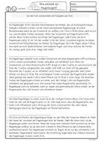 Sachtext Lesetext Wetter, Regenbogen 4.Klasse, 5.Klasse, 6.Klasse ...