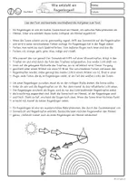 Erster Sachtext: Lesen und verstehen, Lesetext 2.Klasse, 3.Klasse Wie ...