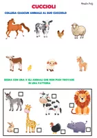 anteprima - Esercizi - Gli animali - Pagina 1