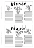 Vorschau - Unterrichtsreihen - Bienen - Lebenszyklus Aufgaben Mini - Seite 3