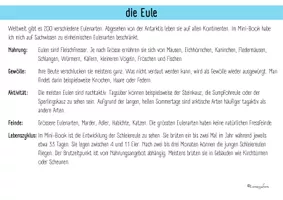 Vorschau - Arbeitsblätter - Materialpaket Eule für den Kindergarten - Seite 3