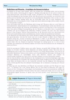 Vorschau - Arbeitsblätter - Materialpaket - WBS Wirtschaft im Alltag - SOFORT einsatzbereit 💡 - Seite 2