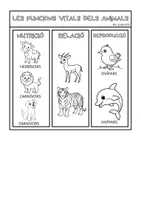 Vista previa - Unidades / Secuencias / Situaciones de Aprendizaje - Flipbooks tema 2. Los animales - Els animals - página 2