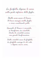 anteprima - Altro tipo di materiale - Libretto ciclo di vita farfalla - Pagina 1