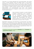 Vorschau - Arbeitsblätter - Der Programmierer Job: Softwareentwicklung, IT Programmieren - Seite 3