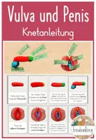 Anleitung Knetmodell Vulva & Penis (Geschlechtsorgane) Unterrichtsmaterial in den Fchern Biologie & Sachunterricht Anleitung Knetmodell Vulva & Penis (Geschlechtsorgane) Unterrichtsmaterial in den Fchern Biologie & Sachunterricht