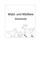 Vorschau - Stationenlernen - Wald- und Wildtiere - Materialpaket - Seite 2