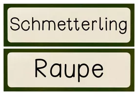 Tafelmaterial Körperbau Schmetterling & Raupe - Legematerial ...