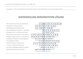 Anatomie und Physiologie, Nervensystem Wiederholung ...