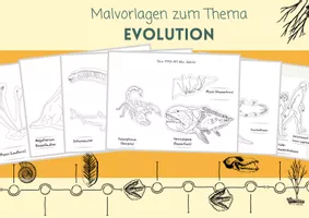 Malvorlagen Evolution, Zeitleiste des Lebens – Unterrichtsmaterial im ...