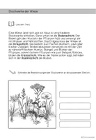 Stockwerke Der Wiese Arbeitsblatt Tafelmaterial Unterrichtsmaterial stockwerke-der-wiese-arbeitsblatt-tafelmaterial-unterrichtsmaterial