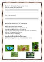 Lebenszyklus Des Schmetterling Aufgaben L sungen Steckbrief lebenszyklus-des-schmetterling-aufgaben-l-sungen-steckbrief