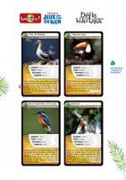 Cahier d'activités et livret | Oiseaux du jardin Cahier d'activités et livret | Oiseaux du jardin