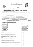 Verifica Di Scienze Classe Terza Materiale Didattico Per La Materia verifica-di-scienze-classe-terza-materiale-didattico-per-la-materia