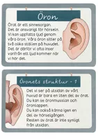 Öron och Hörselsinnet Kunskapstexter, lästexter, kunskapskort - Biologi ...