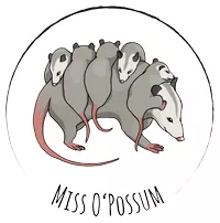 Bild in der Beschreibung des Unterrichtsmaterials Bildkarten: Stockenten und Mandarinenten von Miss O