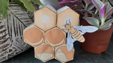 Bild in der Beschreibung des Unterrichtsmaterials Kleiner Bienenstock mit Bienen - Bastelvorlage | Biologie Klasse 7/8 von Dr.Teach #1