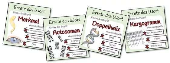 Bild in der Beschreibung des Unterrichtsmaterials Genetik - Errate das Wort-Spiel von Dr.Teach #1