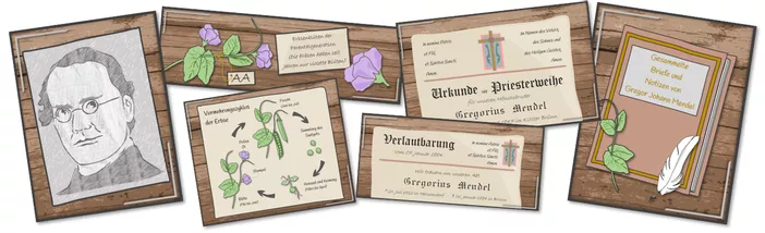 Bild in der Beschreibung des Unterrichtsmaterials Genetik | Mendel und die Erbsen | Biologie Klasse 9/10 | Mystery von Dr.Teach #1