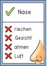 Bild in der Beschreibung des Unterrichtsmaterials Mein Körper - Sag es nicht Wortschatz-Spiel von Odd Bird & Company #2