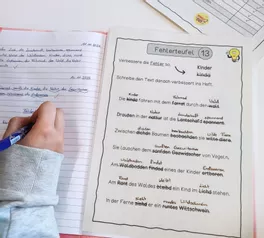 Bild in der Beschreibung des Unterrichtsmaterials Materialpaket RECHTSCHREIBUNG / Lernwörter Training von Schule2go #2