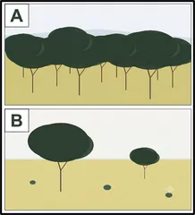 fe2e972e-a97e-44ab-b807-b1c040c72722.png