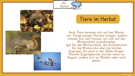 Bild in der Beschreibung des Unterrichtsmaterials Digitale Tafel: Sachtext, Tafelbilder, der Herbst. Deutsch, Sachunterricht, Klasse 1, Klasse 2, Klasse 3 und 4 von LernTagebuch #2
