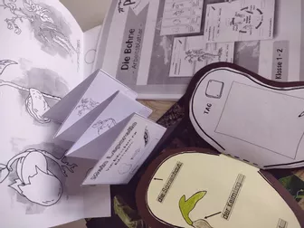 Bild in der Beschreibung des Unterrichtsmaterials Die Bohne: Sparpaket (Klasse 1-2) von Papillionis #1