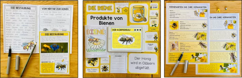 Bild in der Beschreibung des Unterrichtsmaterials DIE BIENE - Materialpaket von Unterrichtmitspass #1