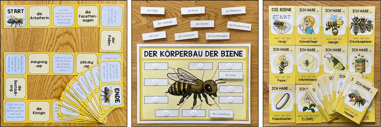 Bild in der Beschreibung des Unterrichtsmaterials DIE BIENE - Materialpaket von Unterrichtmitspass #4