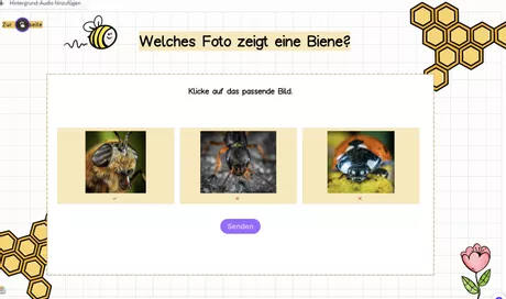 Bild in der Beschreibung des Unterrichtsmaterials Die Biene Quiz, Kinderquiz Honigbiene Interaktiv und Fragekarten Unterrichtsmaterial von LernTagebuch #1
