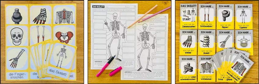 Bild in der Beschreibung des Unterrichtsmaterials Skelett Mensch, Knochen, Gelenke, menschlicher Körper, Anatomie, Sachunterricht, Biologie, Arbeitsblätter, Übungen, Lernkarten, Freiarbeit, Stationenlernen | Materialpaket von Unterrichtmitspass #4